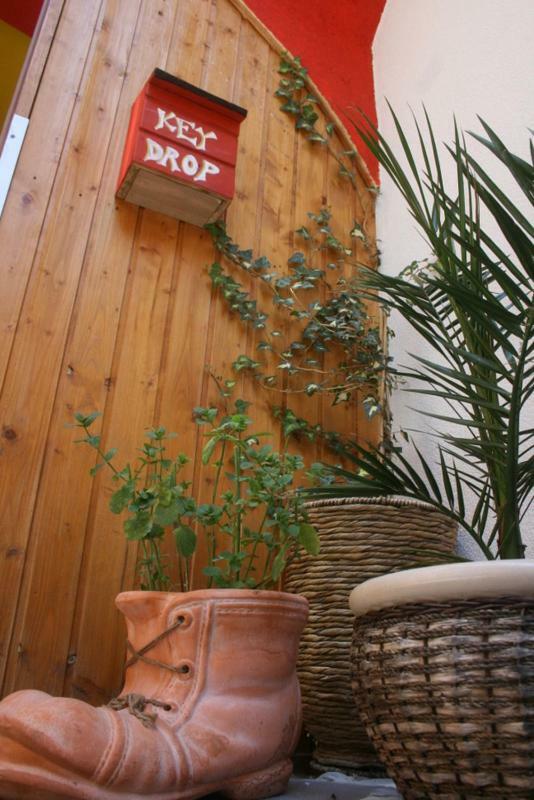 The Mellow Monkey Hostel Zára Kültér fotó