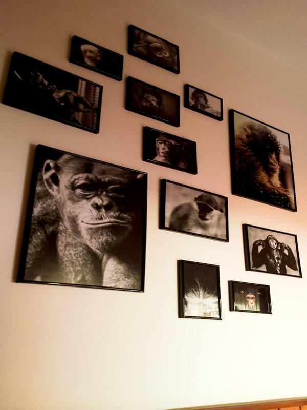 The Mellow Monkey Hostel Zára Kültér fotó